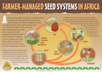 FARMER-MANAGED SEED SYSTEMS