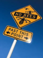 Bees know no borders
