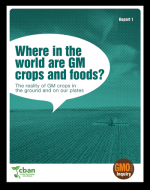 Where in the world are GM crops and foods